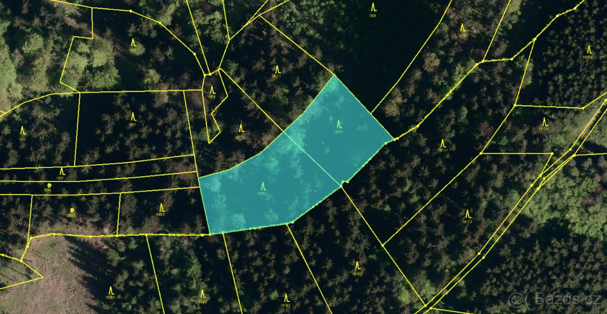 Prodám lesní pozemky v k. ú. Valašská Polanka Valašská Polan