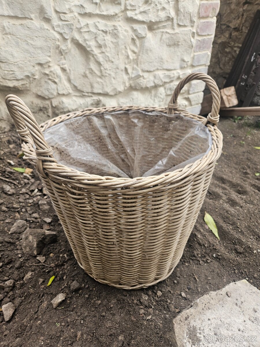 Prouteny velky kvetinac