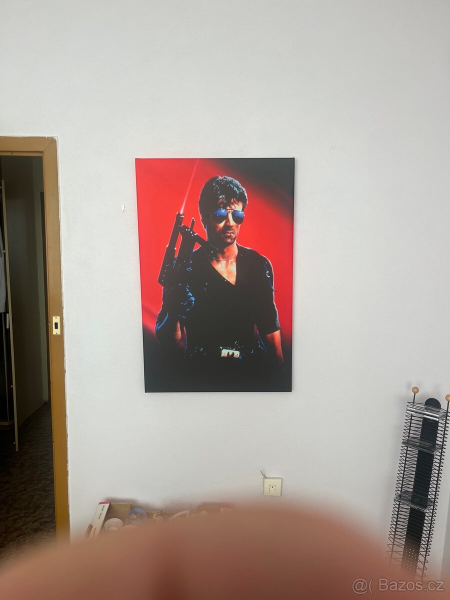 Velký obraz Cobra 1986