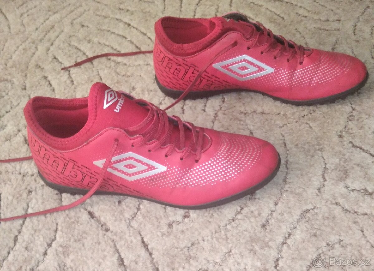 Tarfy umbro