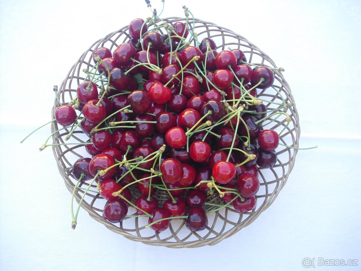 Třešně