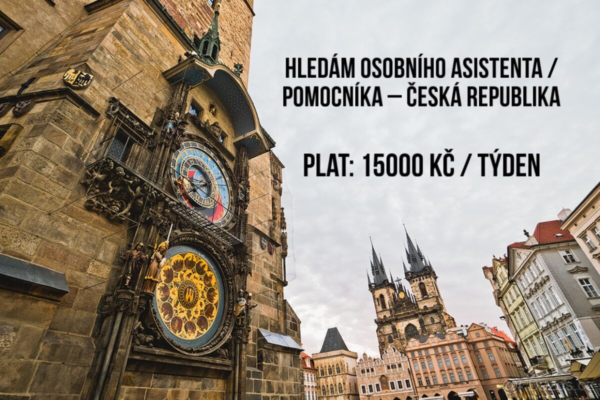 Hledám osobního asistenta / pomocníka
