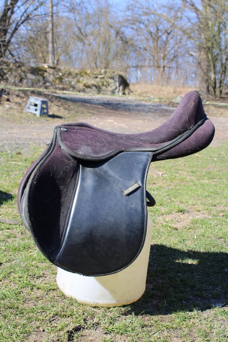 Norton 18