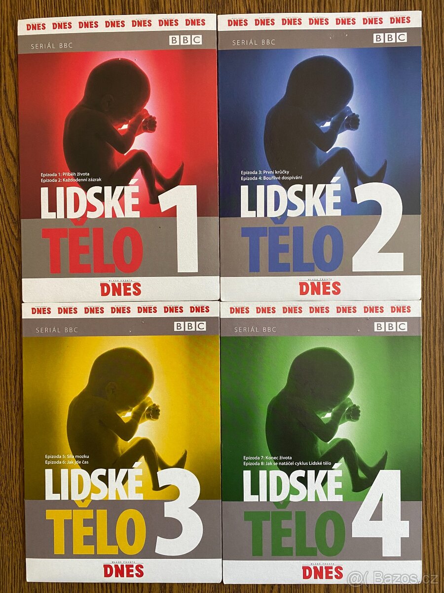Lidské tělo
