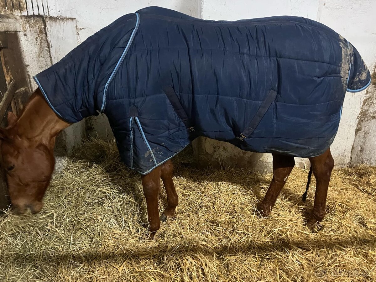 Stájová deka 300g