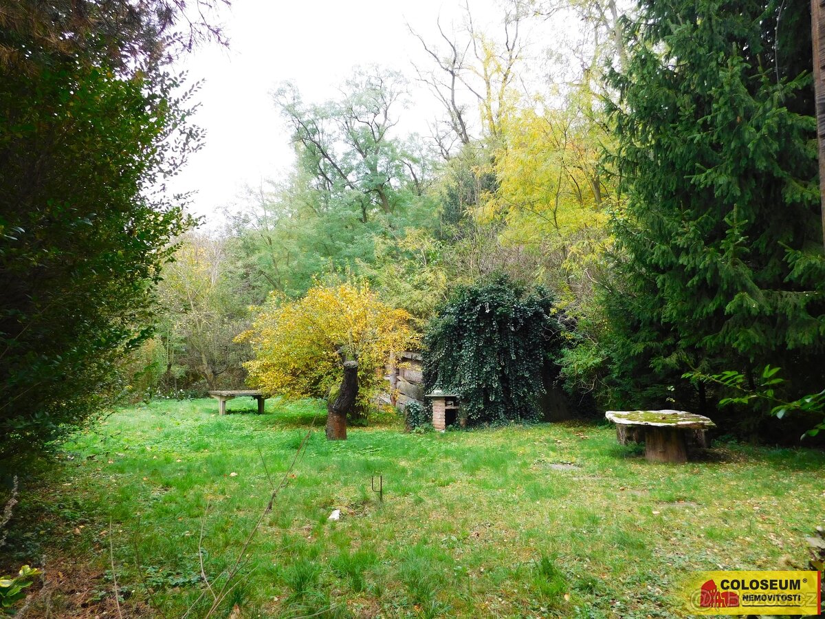 Dyje, zahrada, chatka 482 m² – pozemek, ev.č. V3288Z038