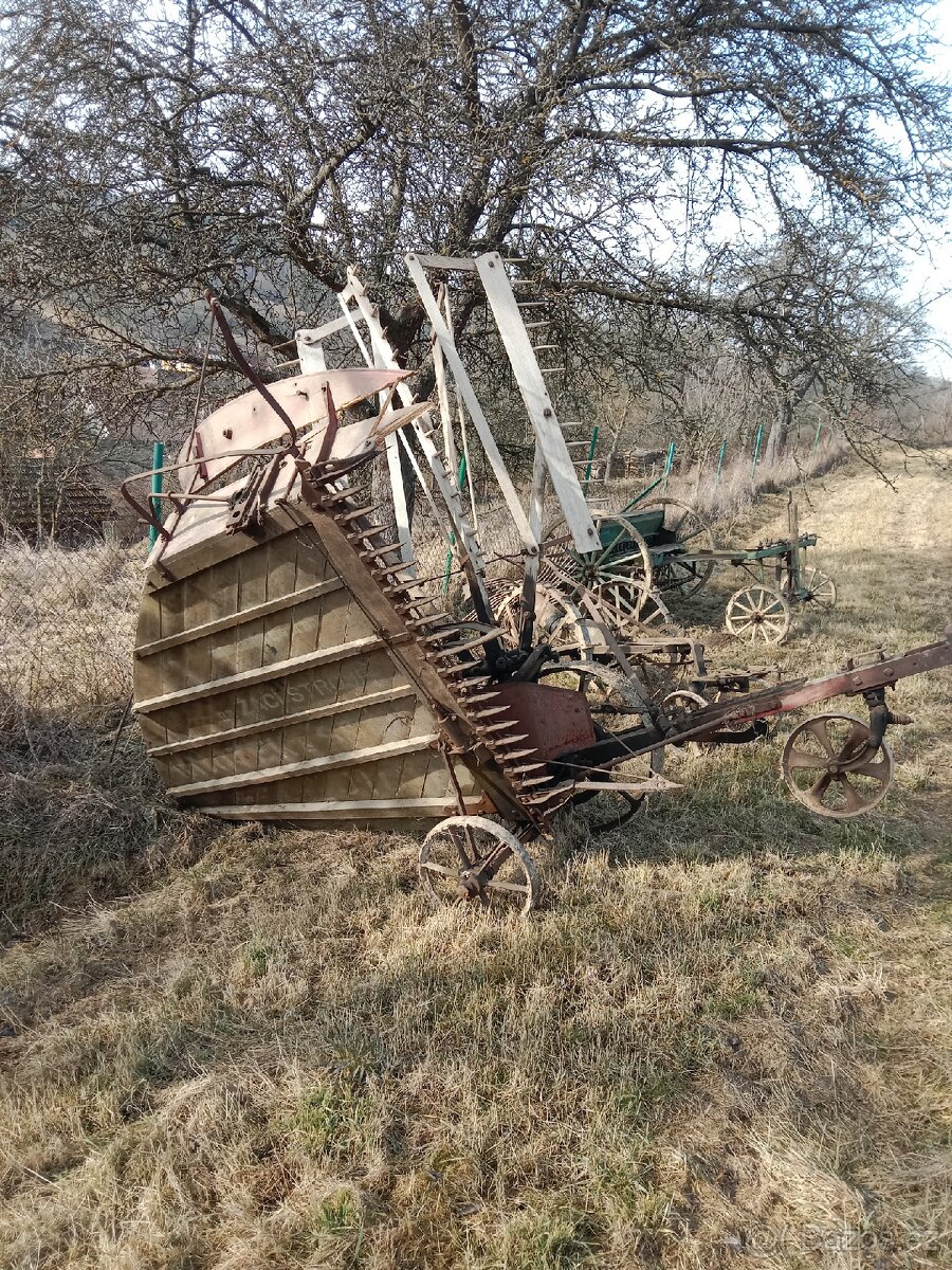 Hrstovka koňská sekačka