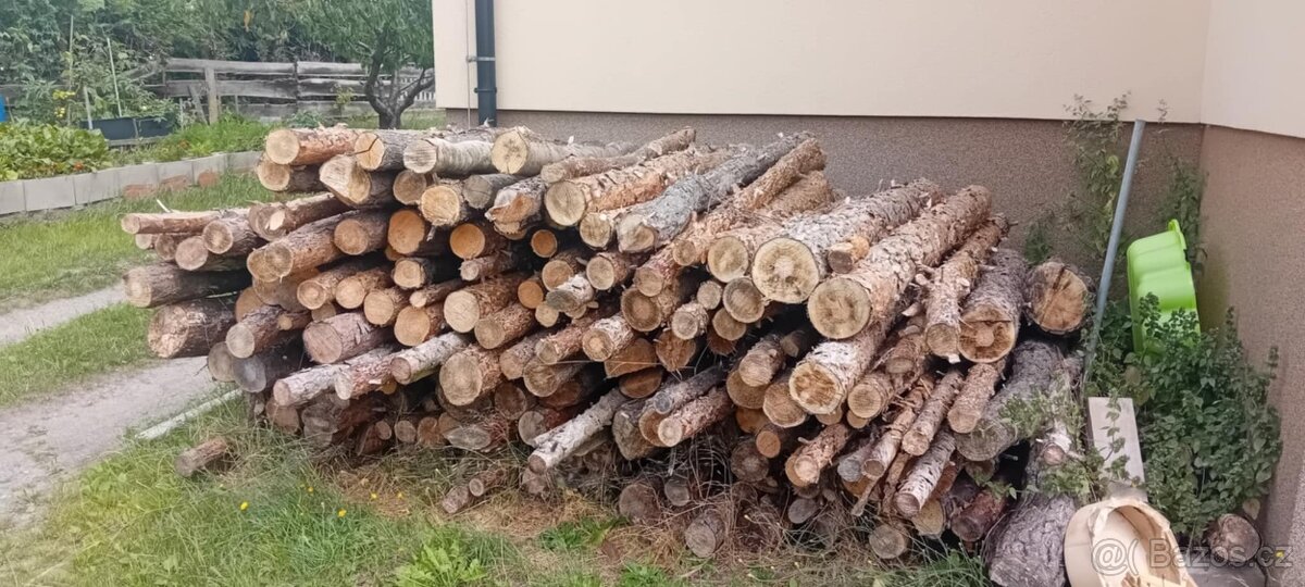 Palivové dřevo borovice 2m