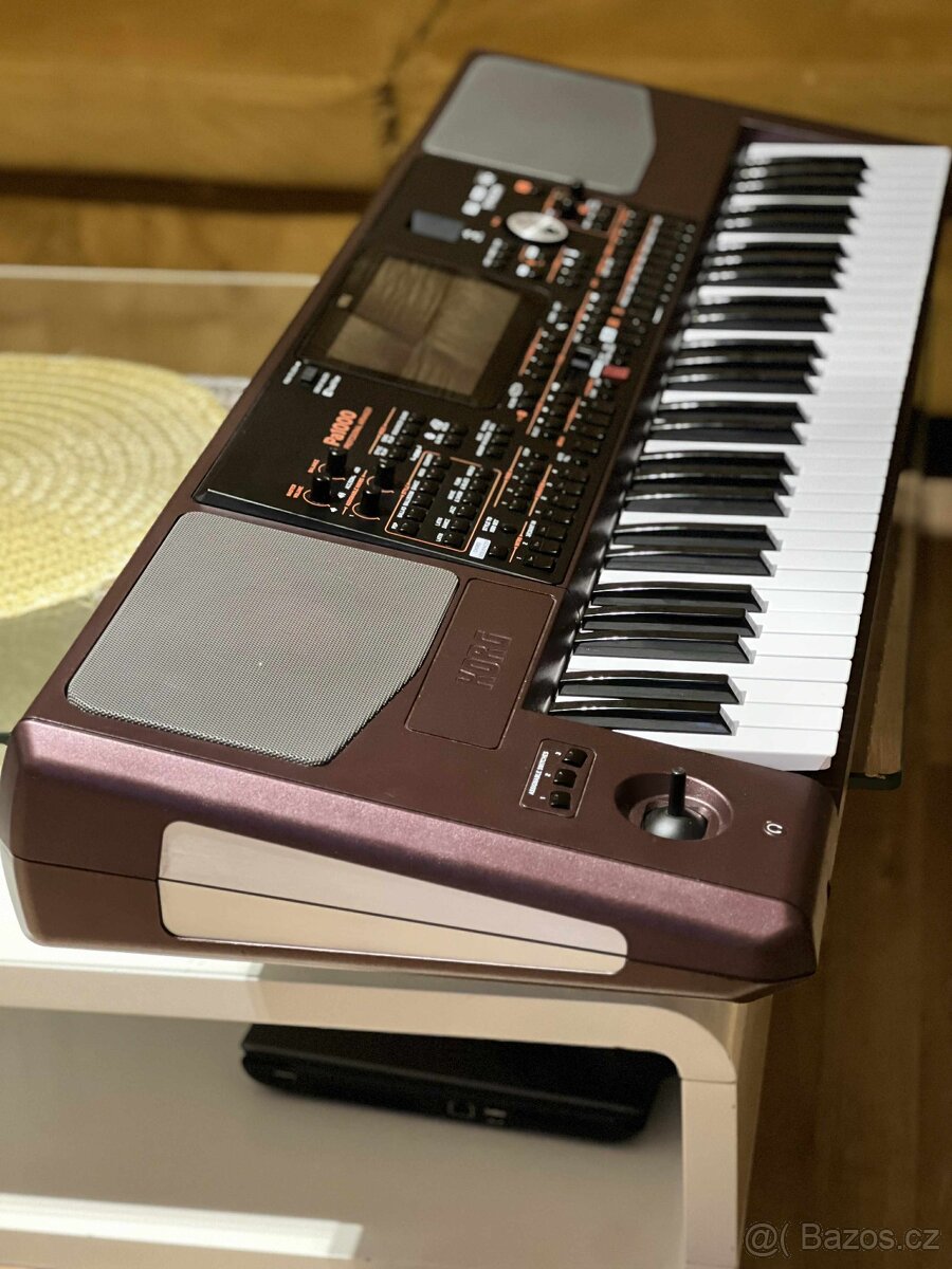 KORG PA1000