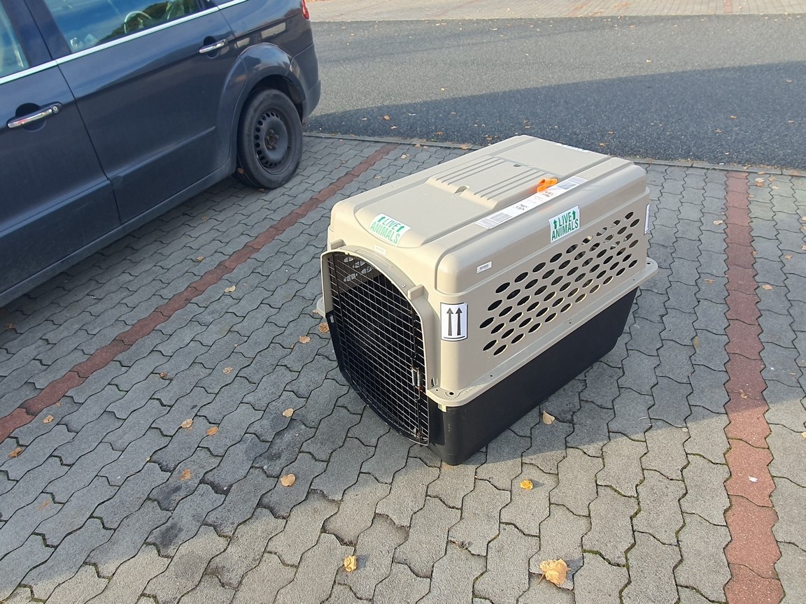 VELKÝ LETECKÝ přepravní box přepravka pro psa