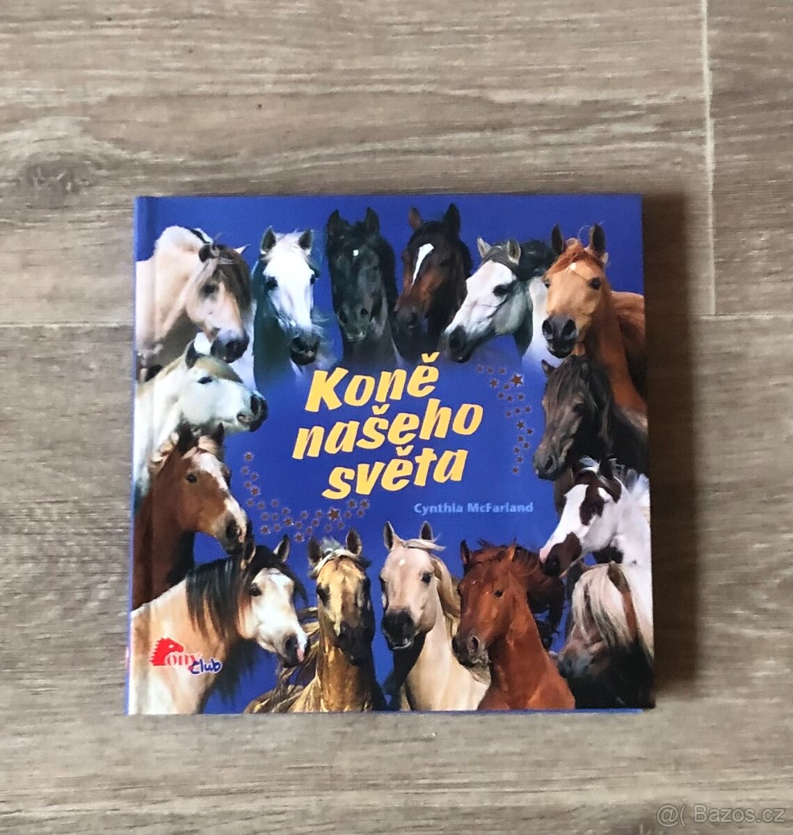 Kniha - Koně našeho světa