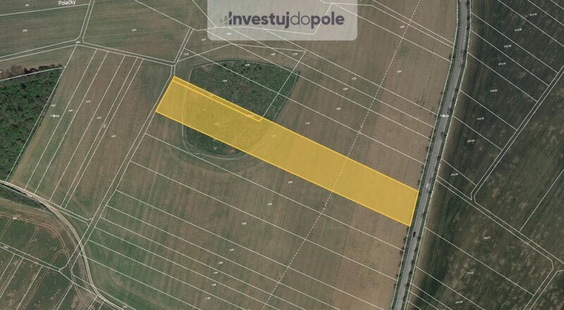 Prodej pole v k.ú. Sentice