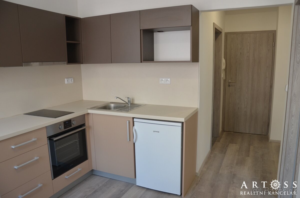 Pronájem prostorného bytu 1+1, 33 m2 - ul. Příkop, Brno