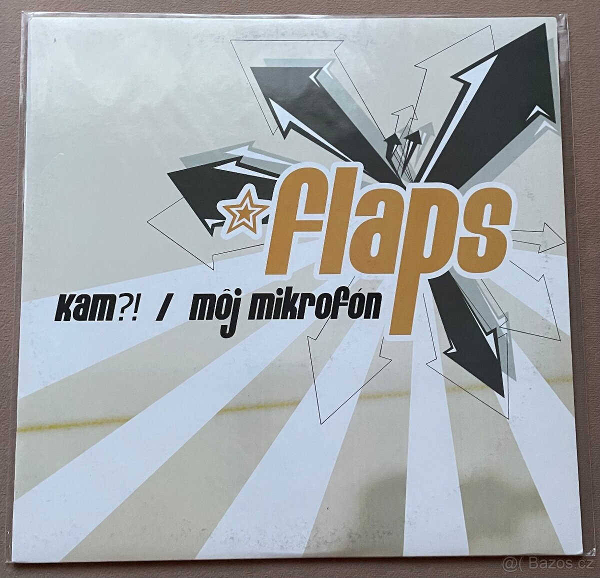 Vinyl Flaps - Kam? / Moj mikrofon 12”