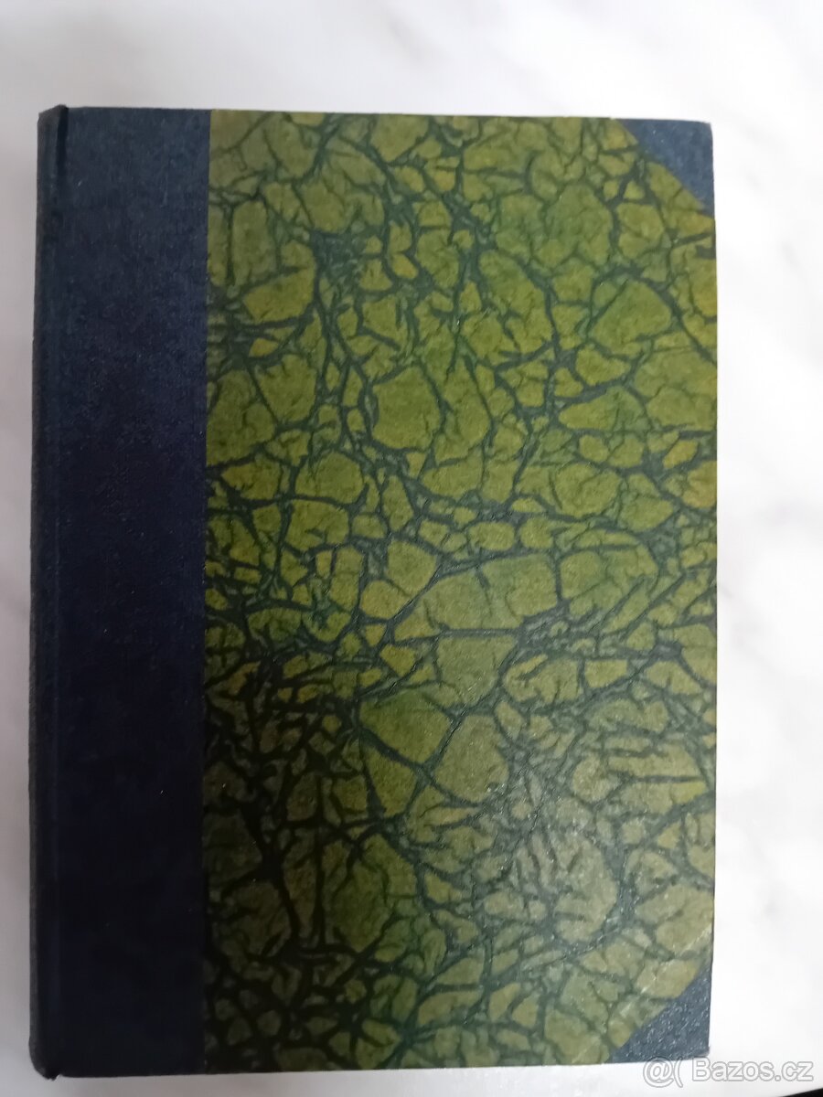 Starožitná kniha Lila Bubelová - Jarní Vody