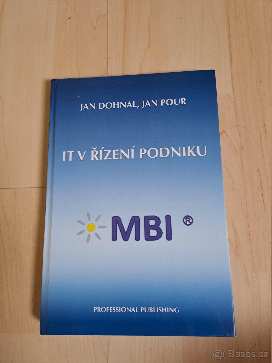 IT v řízení podniku