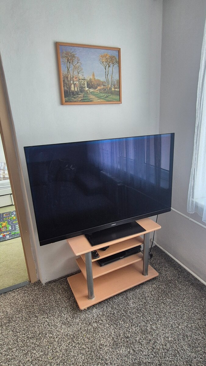 Prodám Tv Panasonic 55