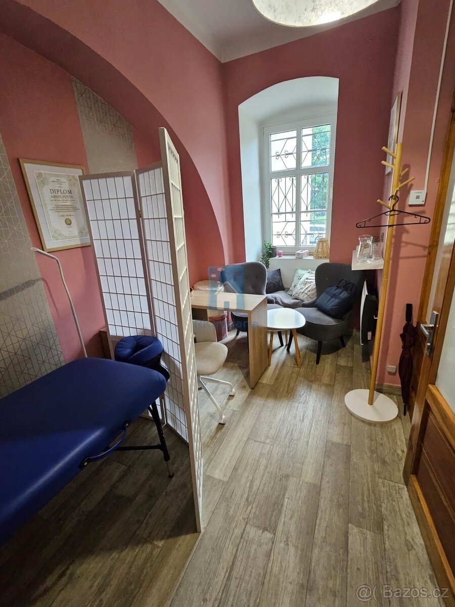 Pronájem sdíleného prostoru v centru Plzně, Sady 5. května,