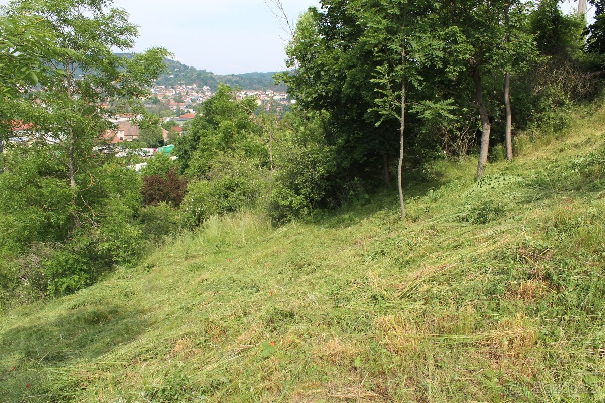 Sečení trávy křovinořezem a sekačkou - Rakovník.