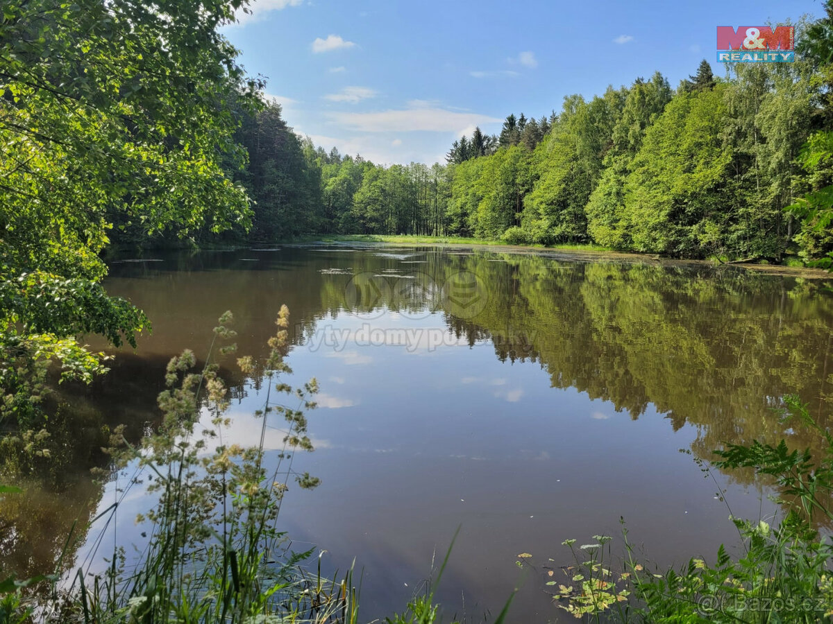 Prodej vodní plochy- rybnik, 13432 m², Luhov u Toužim