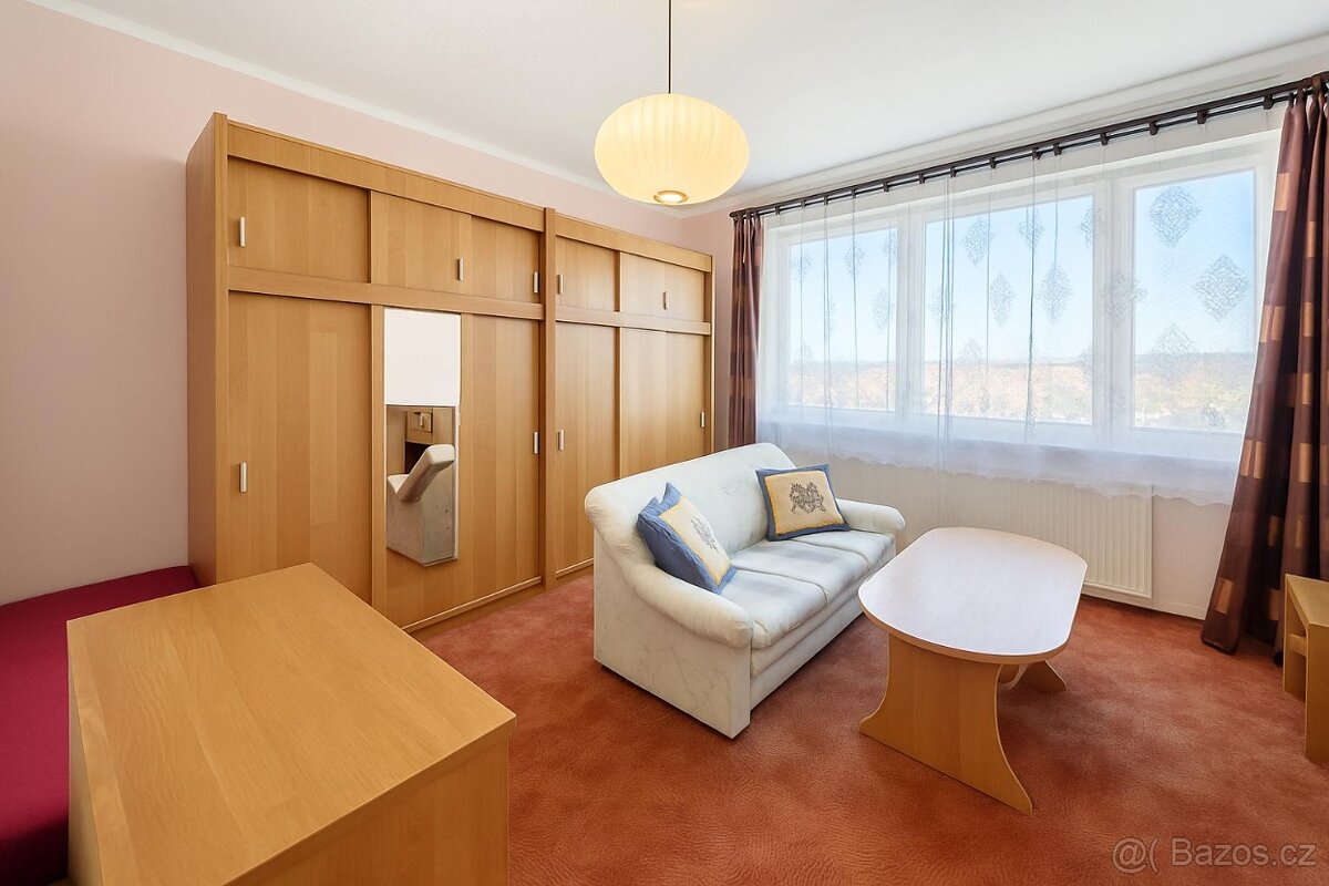 Pronájem bytu 1+1 Česká , Zlín