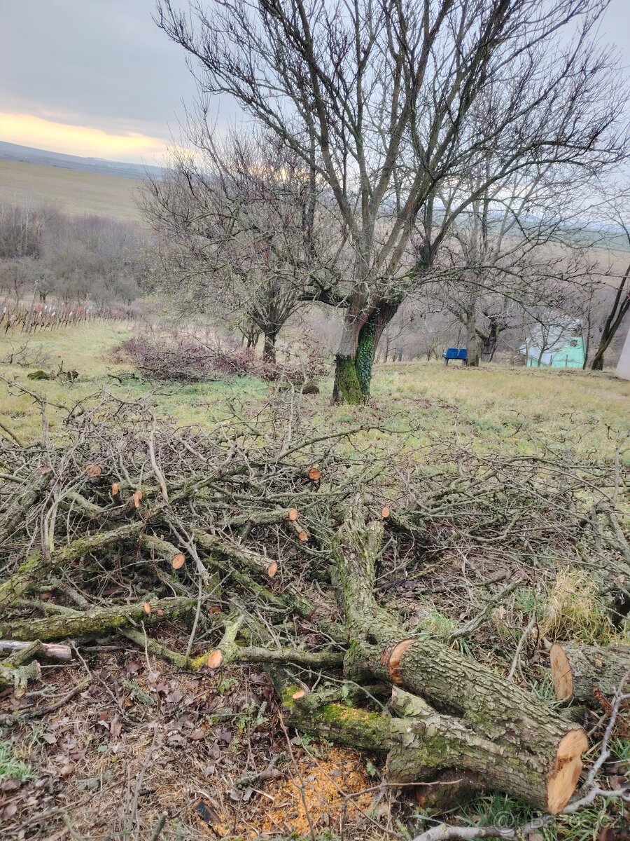 Daruji dřevo za odvoz