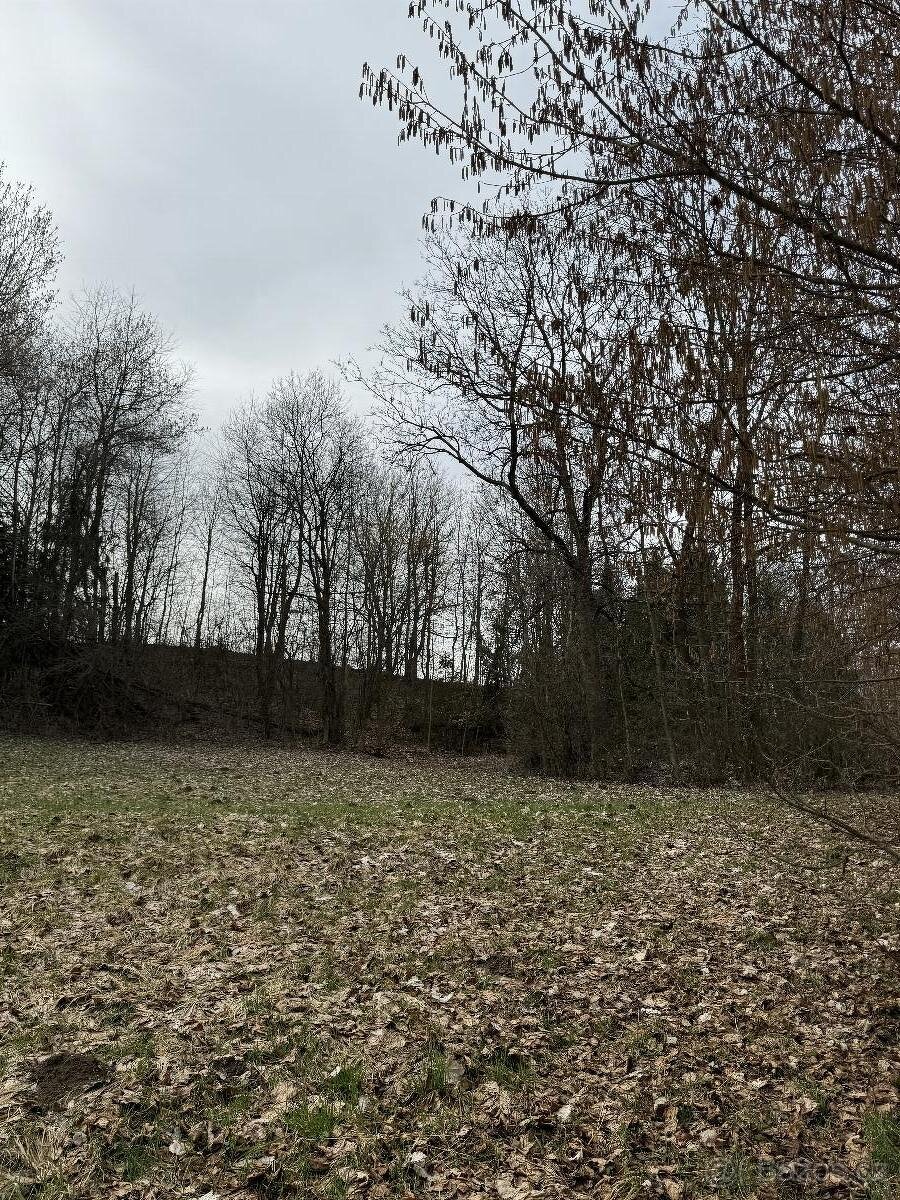 Prodáme pozemky v k.ú. Spálov