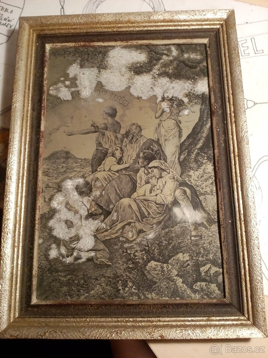 Rytina, lept, Kde domov můj