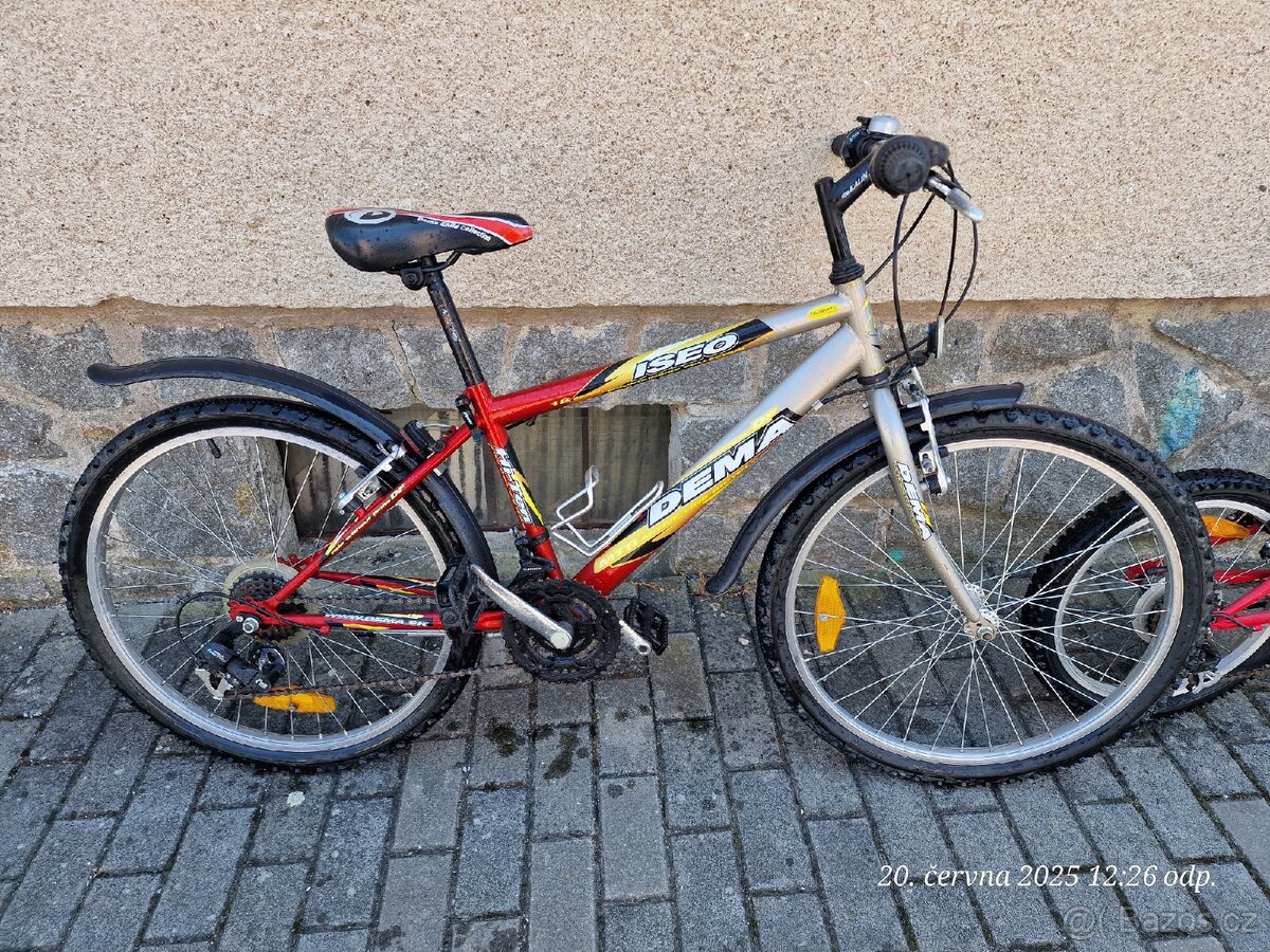 Dema ISEO (24)