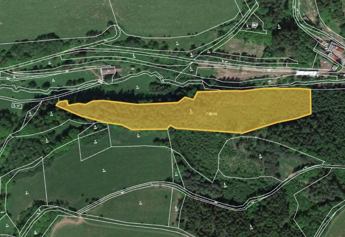 Prodej lesu v k.ú. Starý Rokytník, ev.č. 2025-10-21-141017