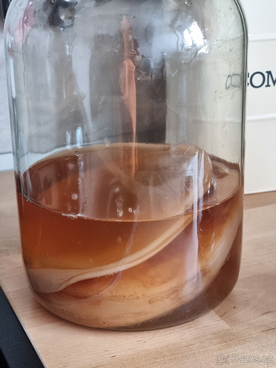 kombucha
