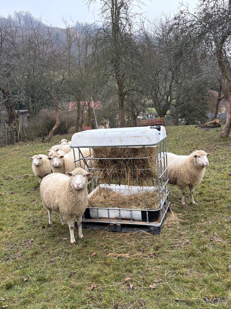 Krmítko, mobilní krmelec