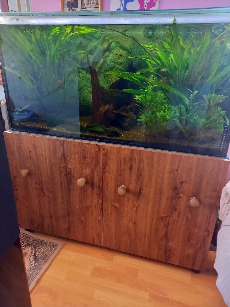 Prodám akvárium 300l