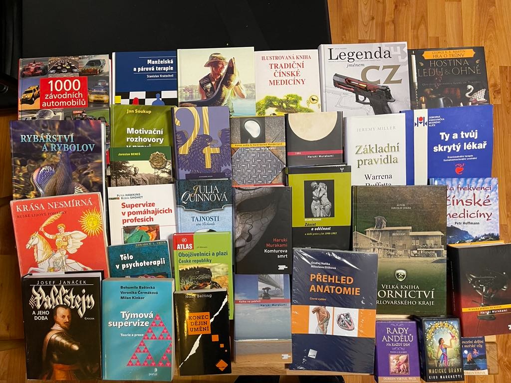 dějiny Barmy,SEAL Team,Valdštejn,Ohnivý keř,Psychologie atd