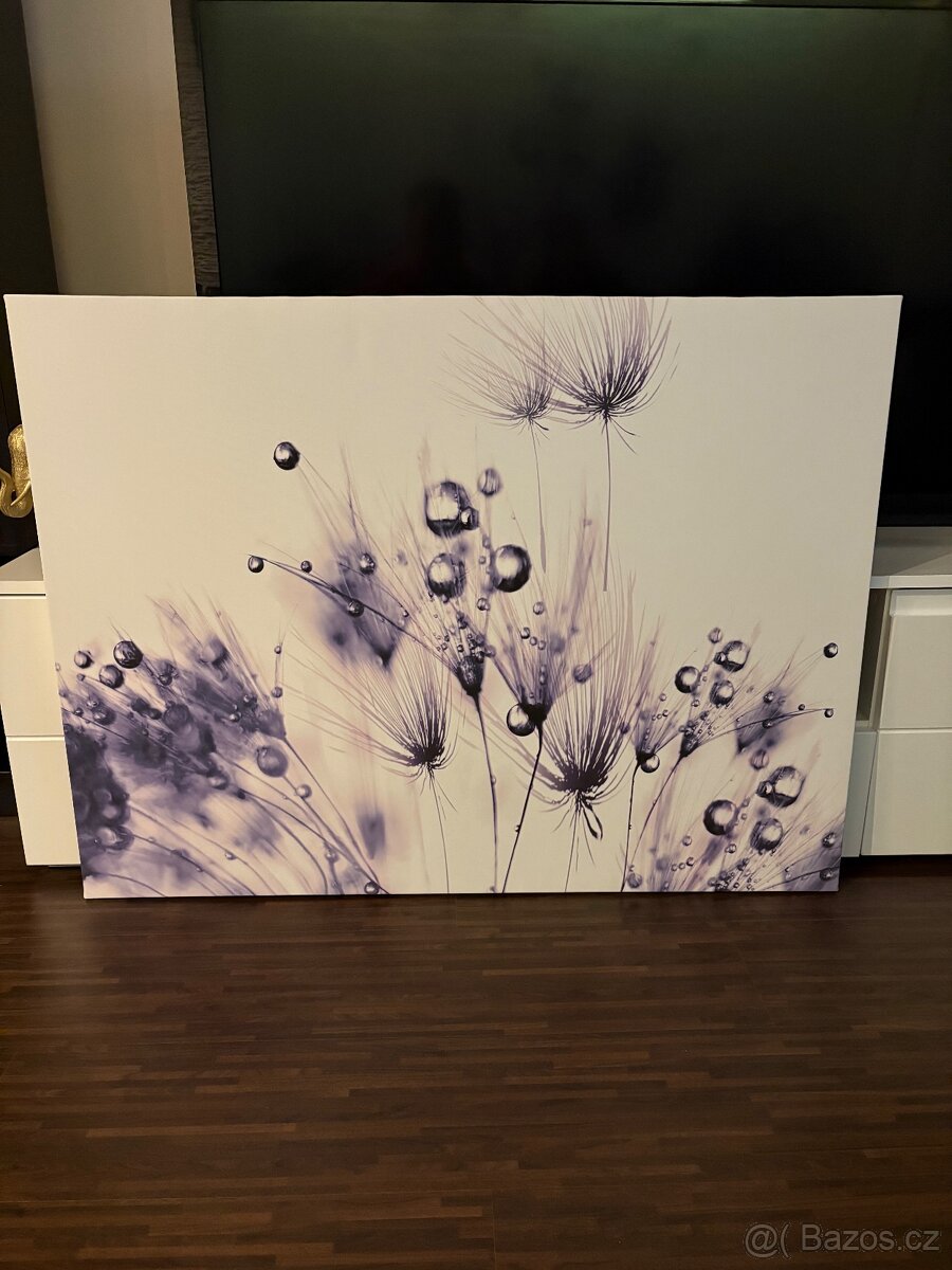 Prodám obraz 75x100cm