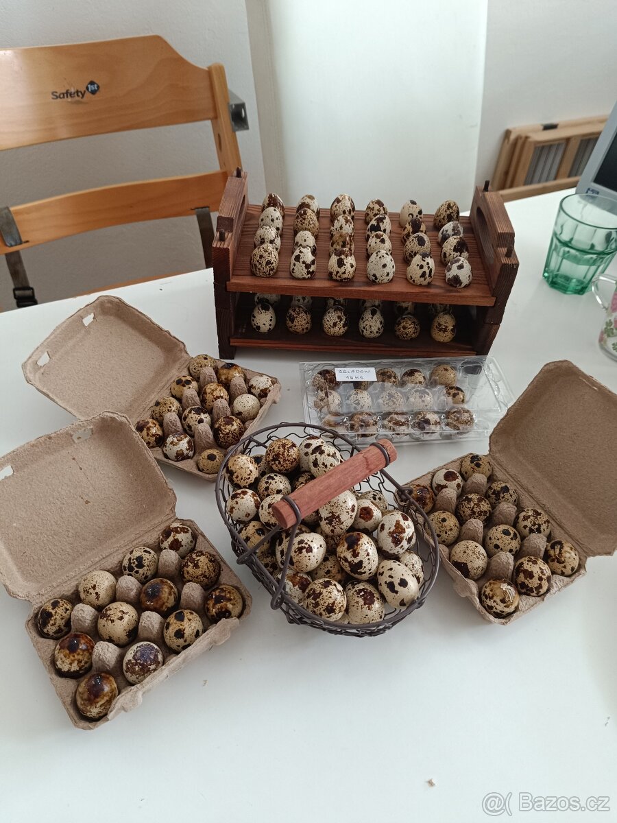 Rezervace japonských nosných křepelek