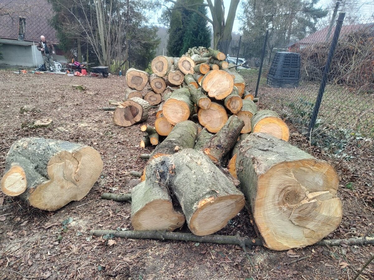 Třešeň - dřevo na uzení