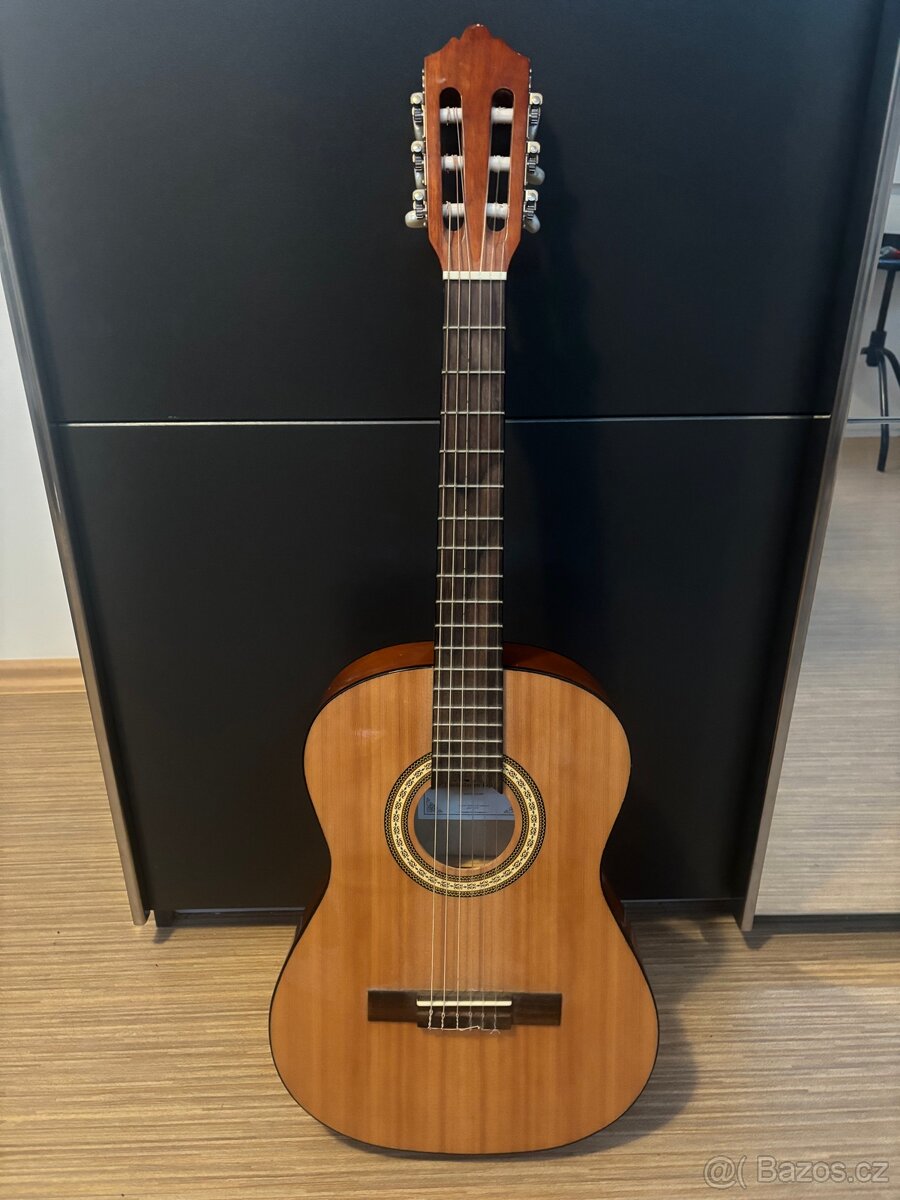 Akustická kytara Molina