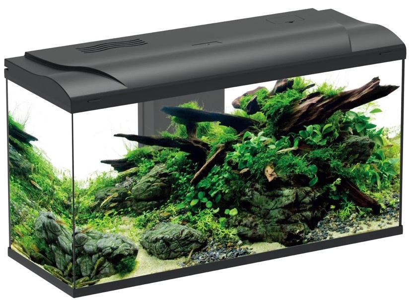 Akvárium 60×40×50 cm