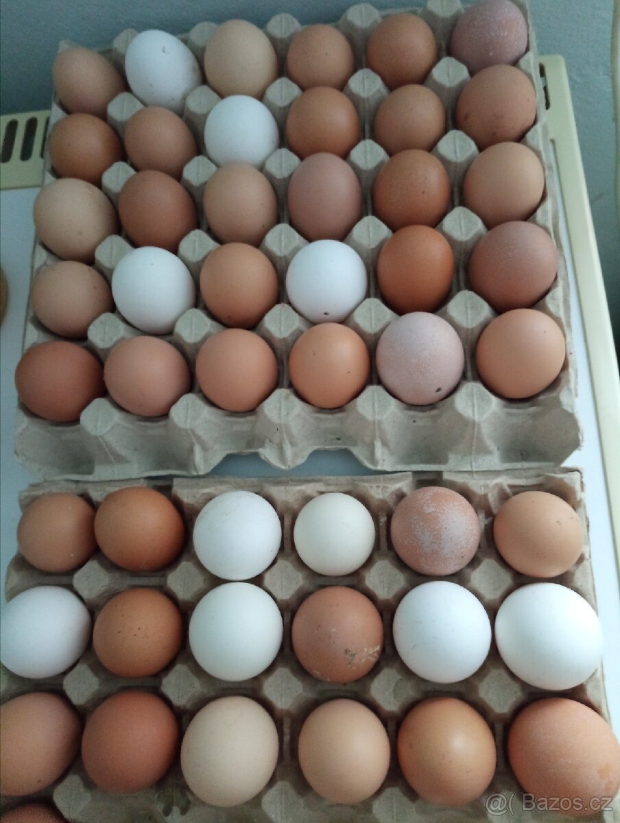Domácí vajíčka