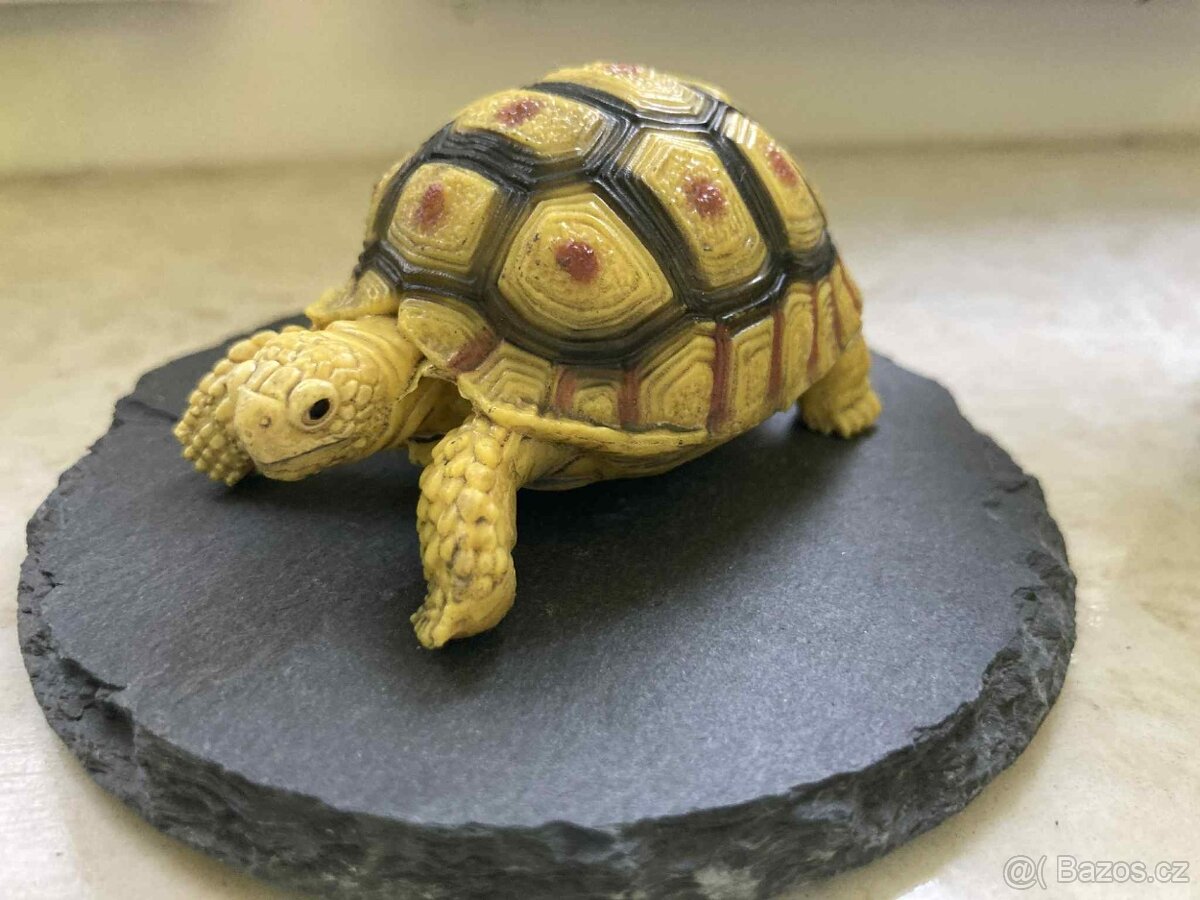 Realistická Želva leopardí