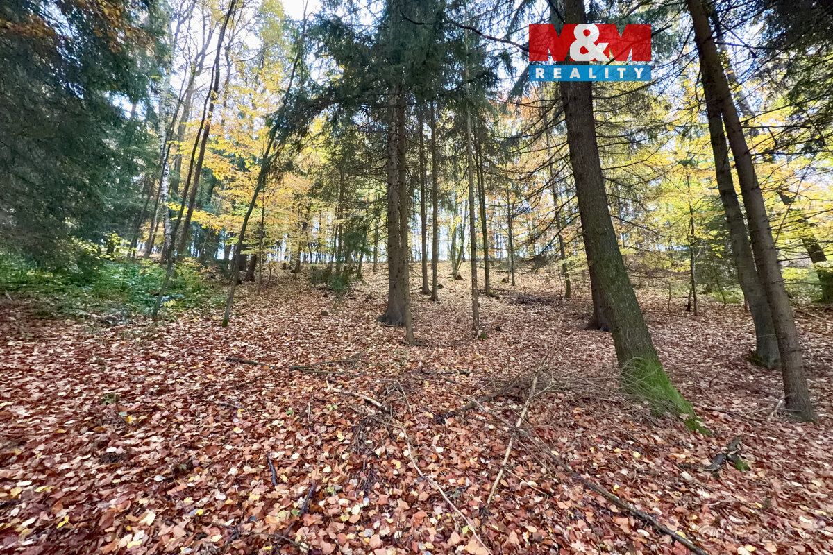 Prodej lesa, 6855 m², Jestřebí