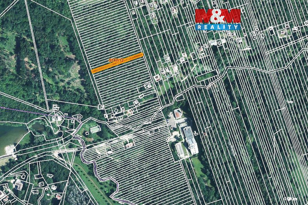 Prodej lesa, 953 m², Kněždub