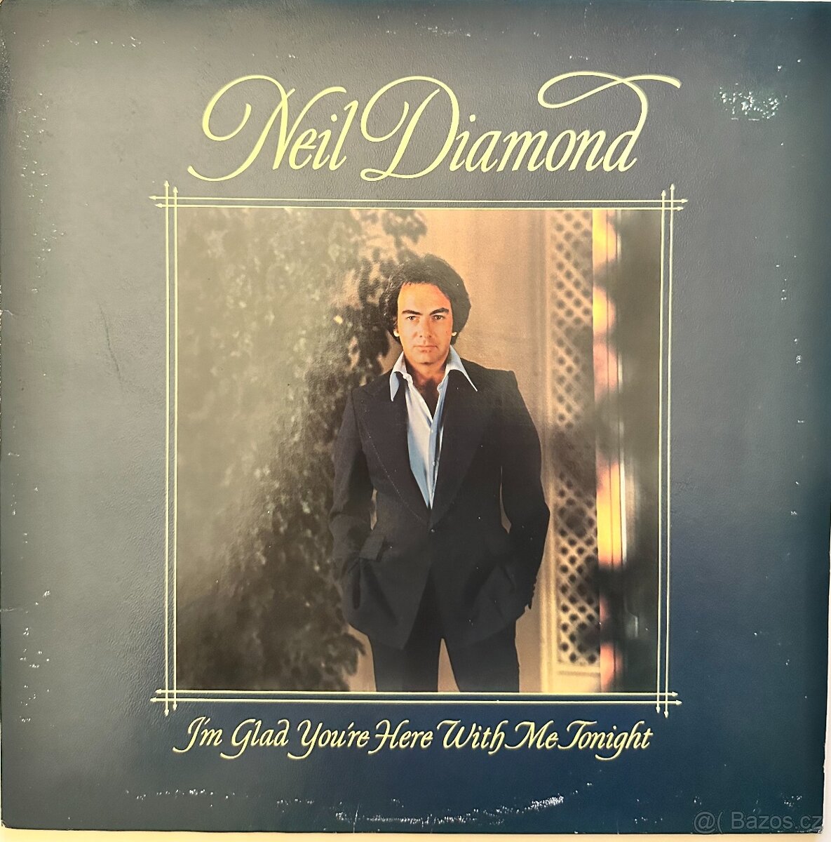 Neil Diamond - I'm Glad You're Here With Me Tonight
