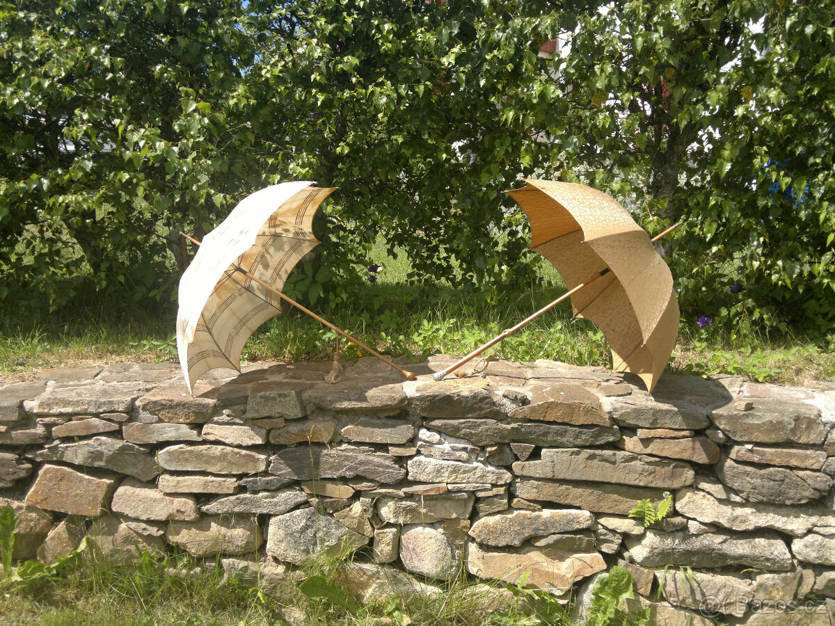 PRODÁM SLUNEČNÍKY