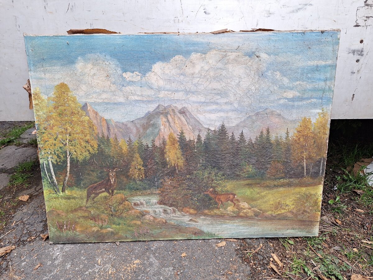 Obraz olej na plátně