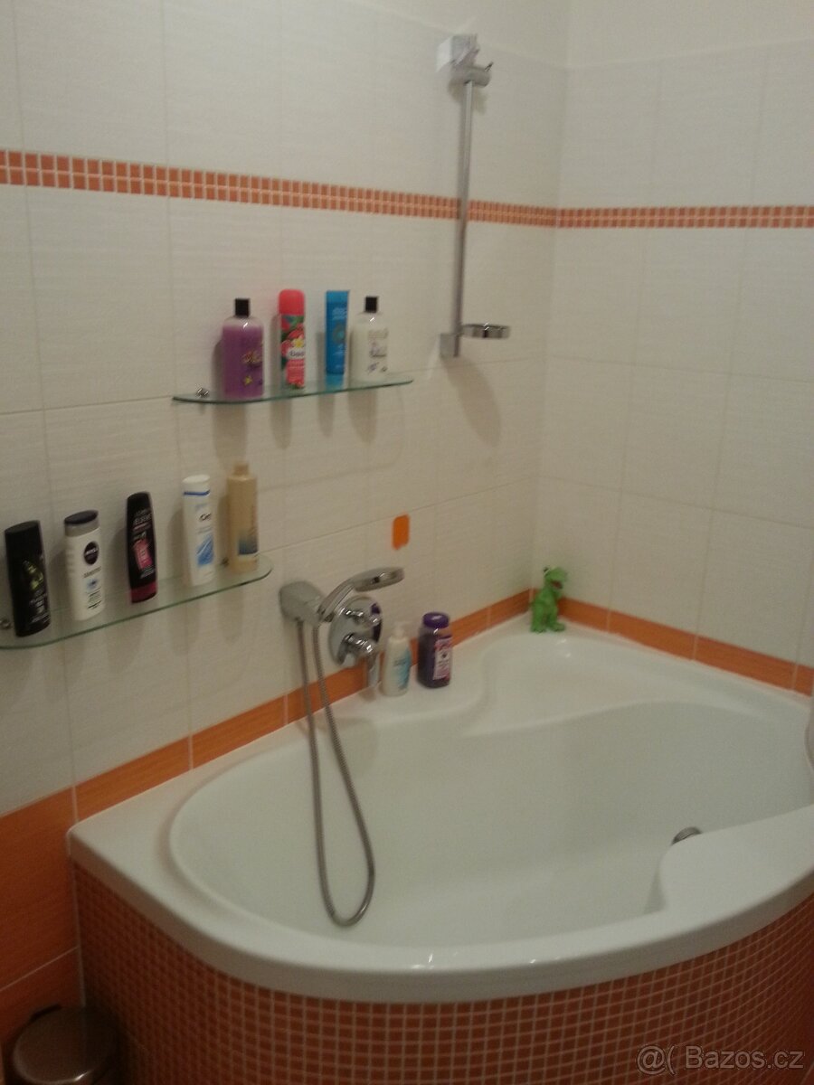 Olomouc Družební 2+kk