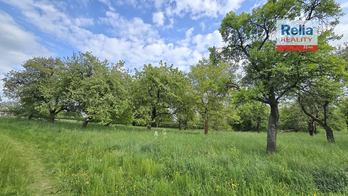 Pronájem ovocného sadu 2 532 m2 - Turnov, ev.č. N50638