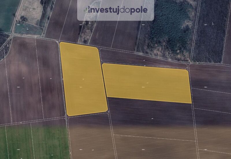 Prodej pole v k.ú. Břežany u Znojma