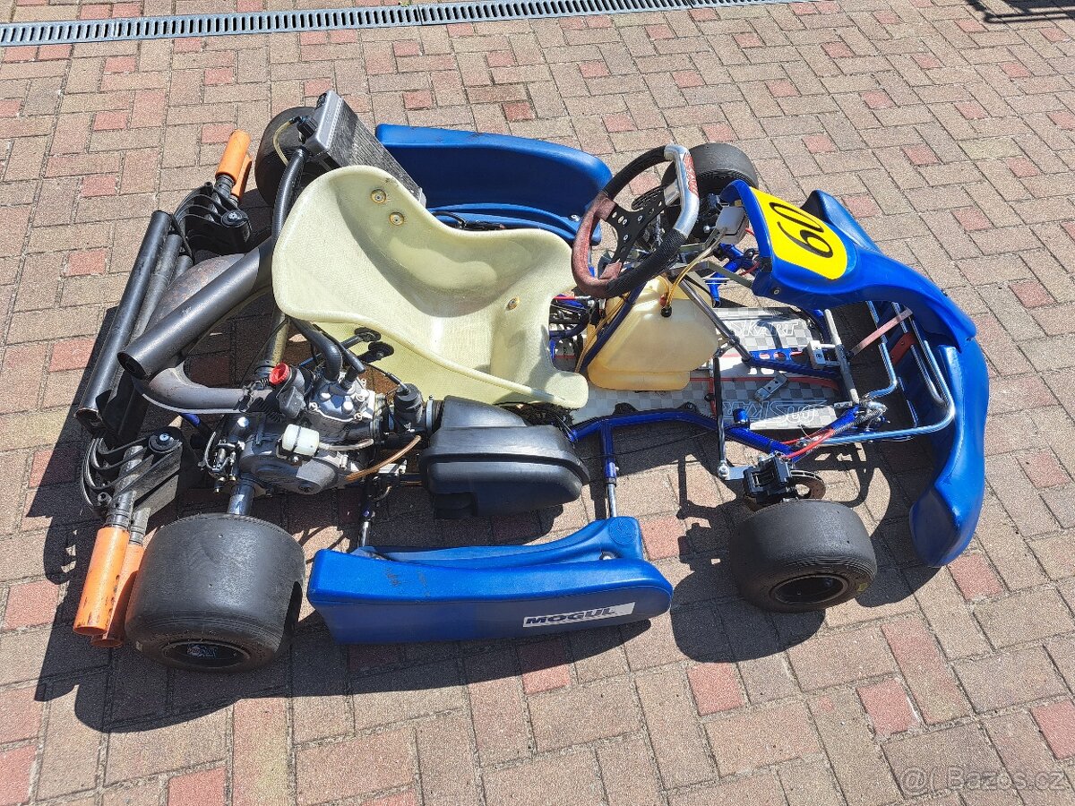 Motokára Rotax Max DD2 125ccm